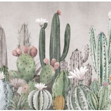 Tucson    Kaktusz mintás tapéta
