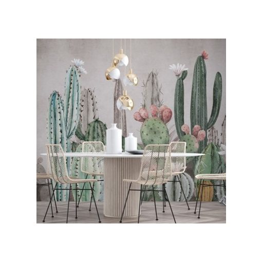 Tucson    Kaktusz mintás tapéta