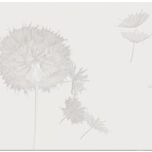 Snow-white     Fehér növény mintás tapéta