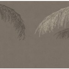 Willow    Fenyő mintás tapéta