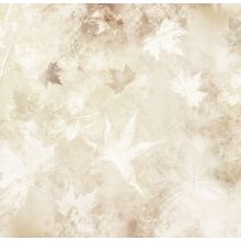 Linfa     Őszi levél mintás tapéta