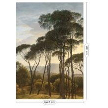 Aranykori tájak-Erdős tájat ábrázoló tapéta