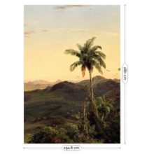 Aranykori tájak-Trópusi tájat ábrázoló tapéta