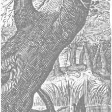 Vésett tájak- Fekete fehér vízparti tájat ábrázoló tapéta