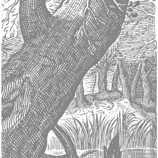 Vésett tájak- Fekete fehér vízparti tájat ábrázoló tapéta