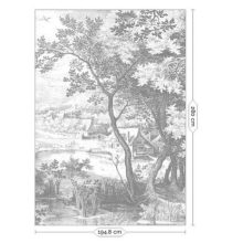 Vésett tájak- Fekete fehér tájat ábrázoló tapéta