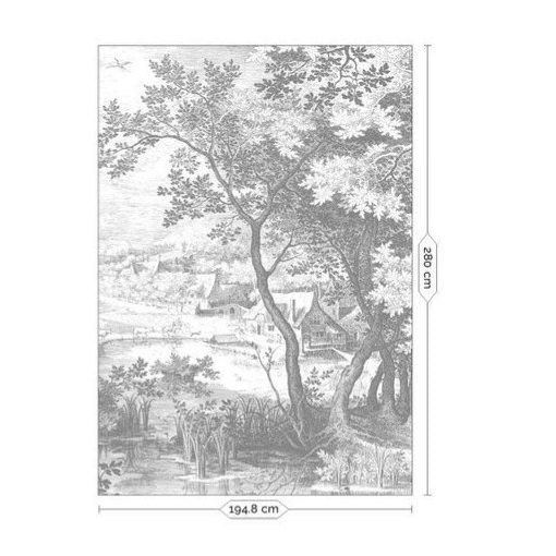 Vésett tájak- Fekete fehér tájat ábrázoló tapéta