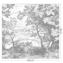 Vésett tájak- Fekete fehér tájat ábrázoló tapéta