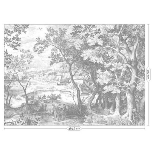 Vésett tájak- Fekete fehér tájat ábrázoló tapéta