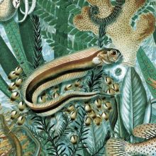  Víz alatti dzsungel- Lenyűgöző színes, halas trópusi tapéta