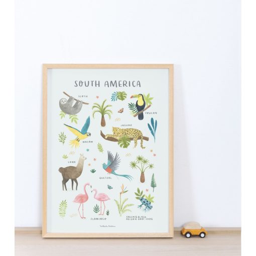 Living earth - south america